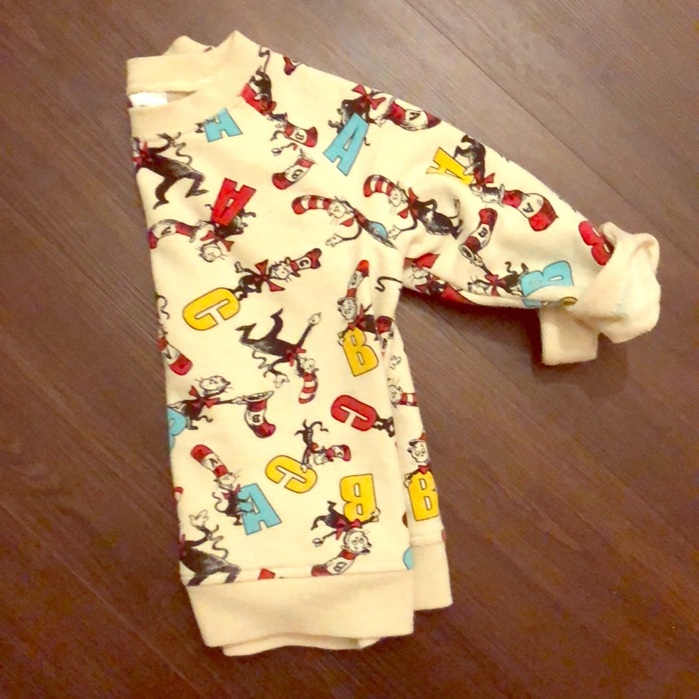 Cat in the Hat pullover sweater